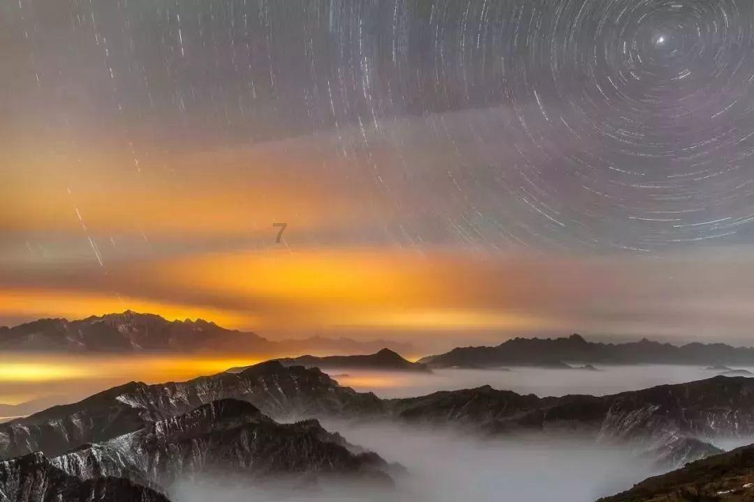 探索蜗牛世界,尽在白酒怎么喝不容易醉
