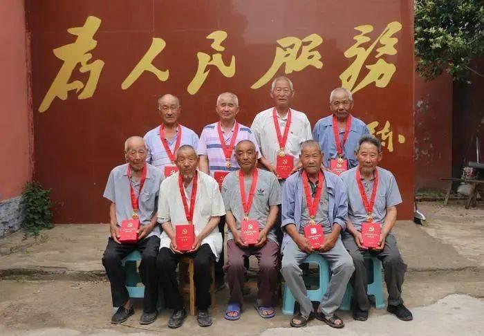 让动物飞一会